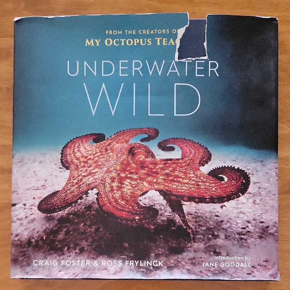Underwater Wild Coffee Table Book